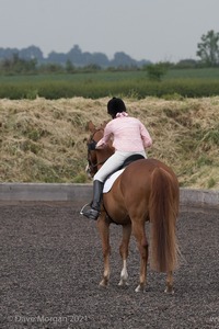 ISIS Dressage Challenge 2008